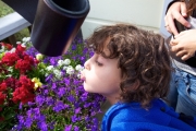 20120813_9999_8